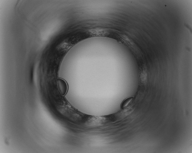 X0000101200429200807111014