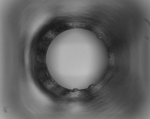 X0000101200430200807111014