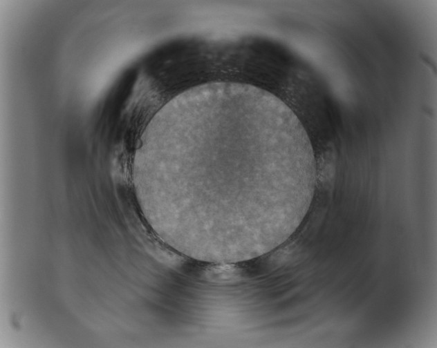 X0000101200431200807111014
