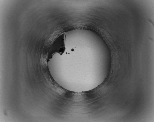 X0000101200432200807111014