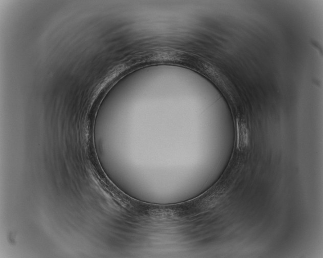 X0000101200435200807111013