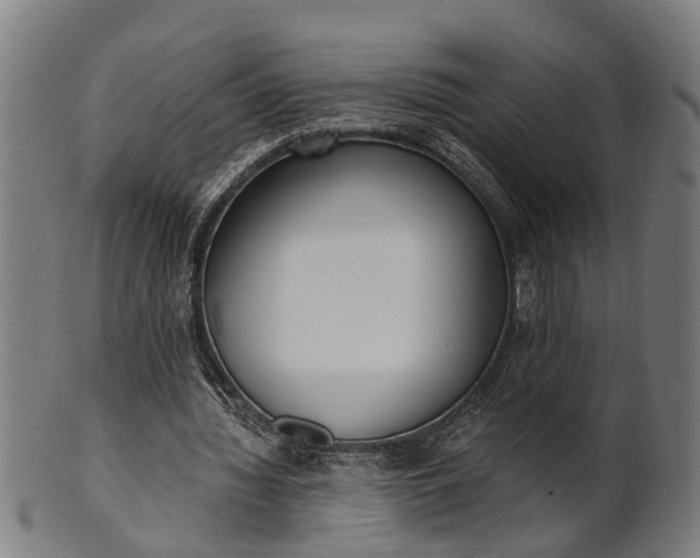 X0000101200436200807111013