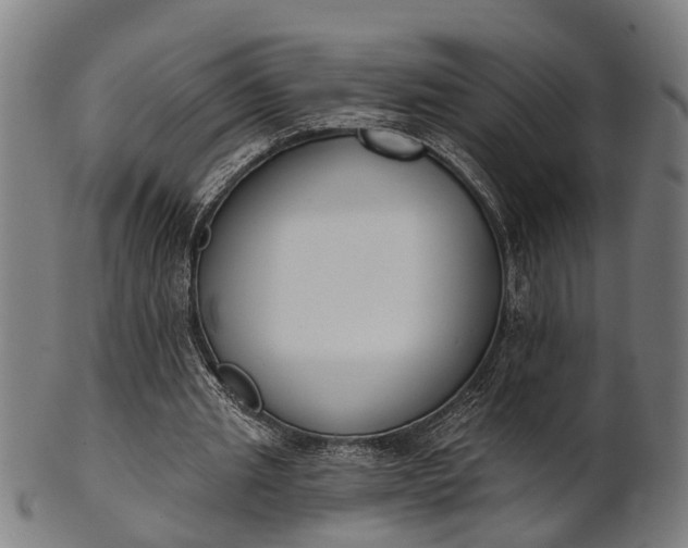 X0000101200437200807111013