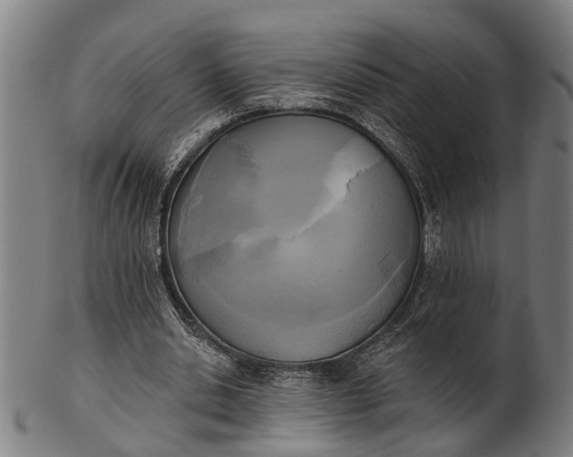 X0000101200438200807111013