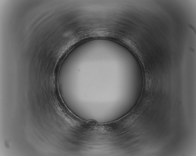 X0000101200439200807111013