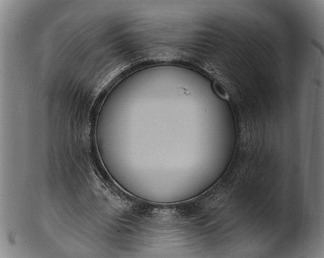 X0000101200440200807111013