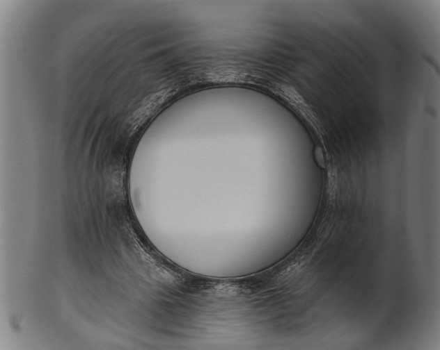 X0000101200441200807111013