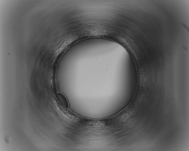 X0000101200443200807111013