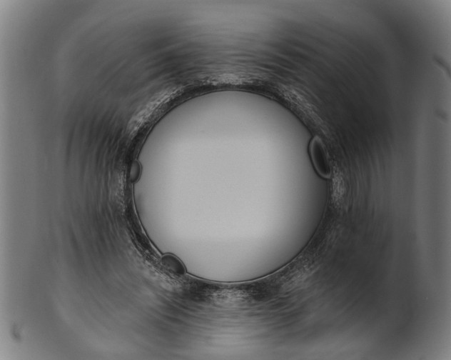 X0000101200444200807111013