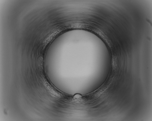 X0000101200445200807111013