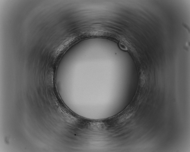 X0000101200446200807111013