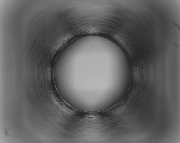 X0000101200447200807111013