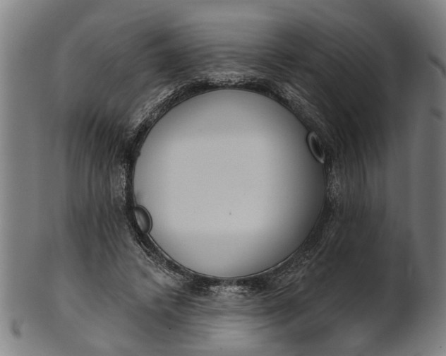 X0000101200448200807111013
