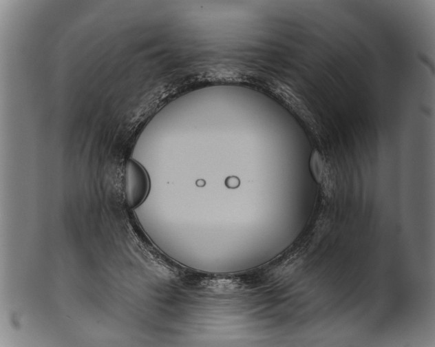 X0000101200449200807111013