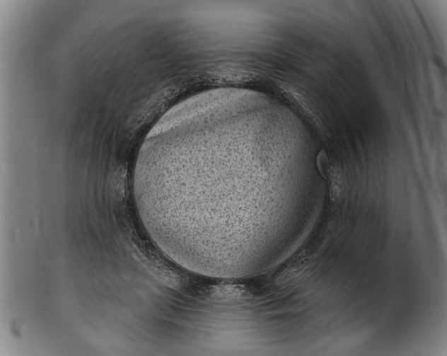 X0000101200451200807111013