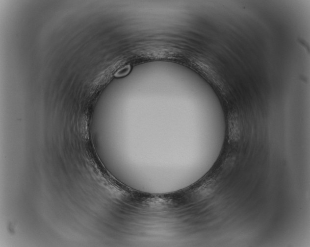 X0000101200453200807111013