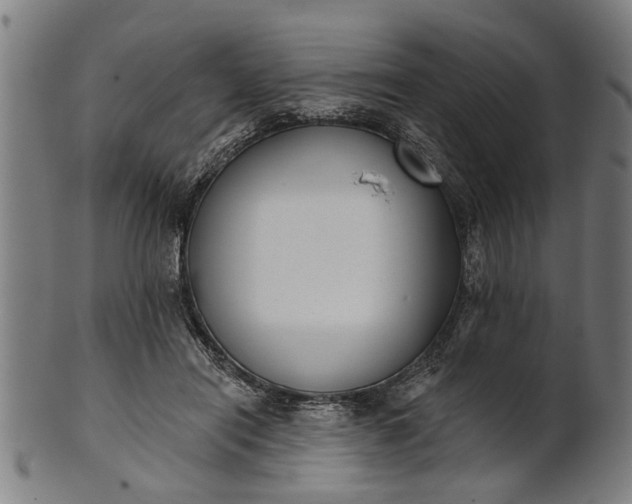 X0000101200454200807111013