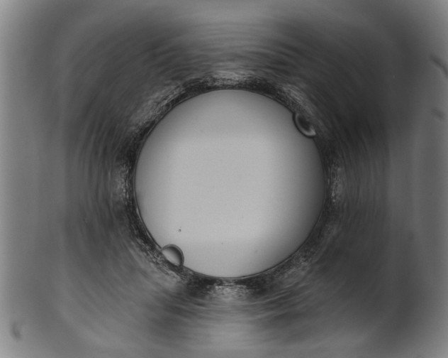 X0000101200455200807111013