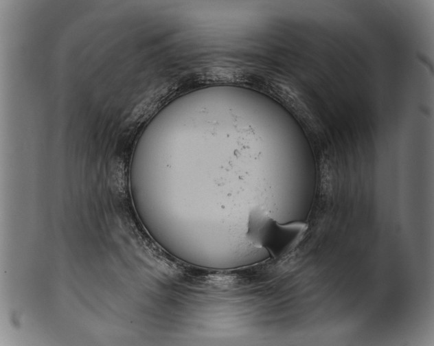 X0000101200457200807111013