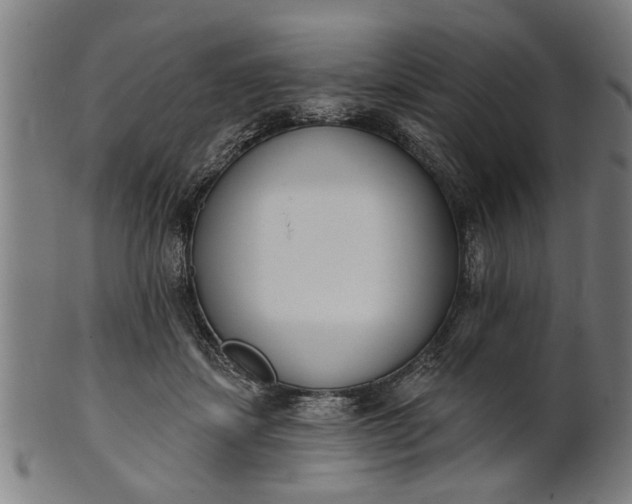 X0000101200459200807111013