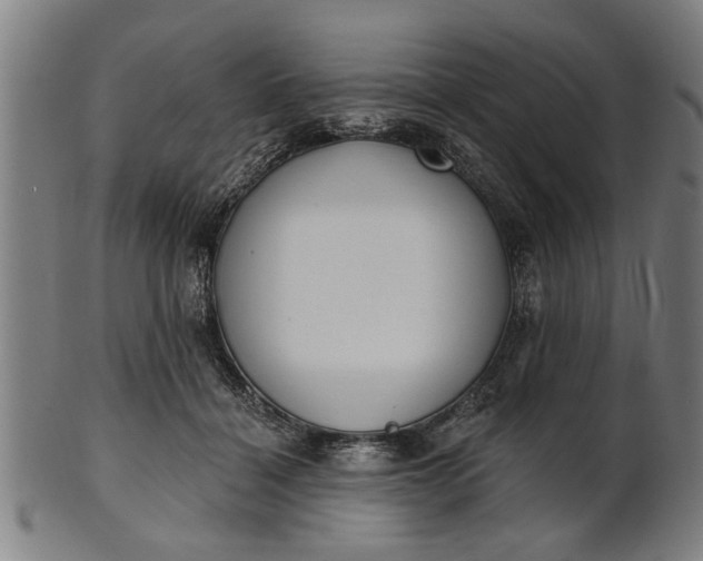 X0000101200460200807111014