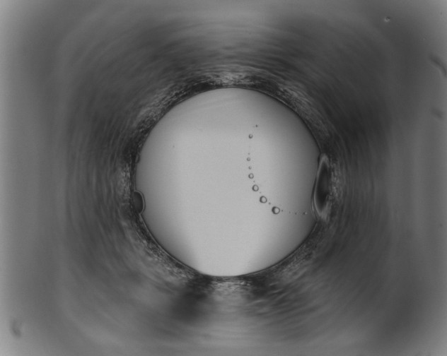 X0000101200461200807111014