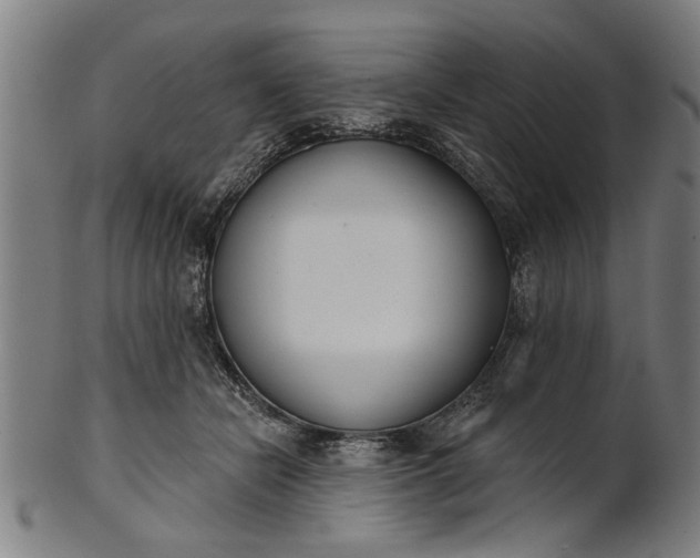 X0000101200462200807111014