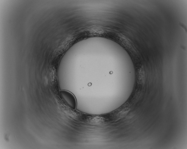 X0000101200463200807111014
