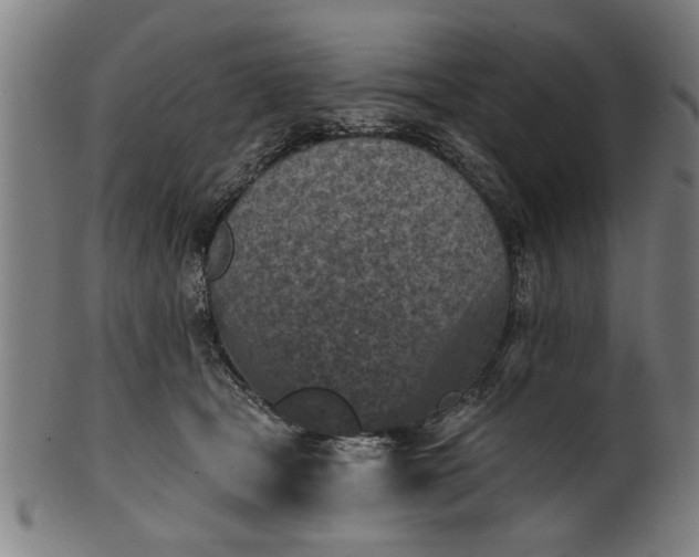 X0000101200465200807111014