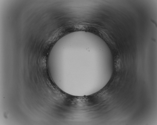 X0000101200466200807111014
