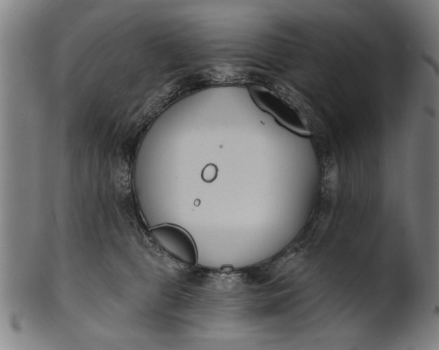 X0000101200469200807111014