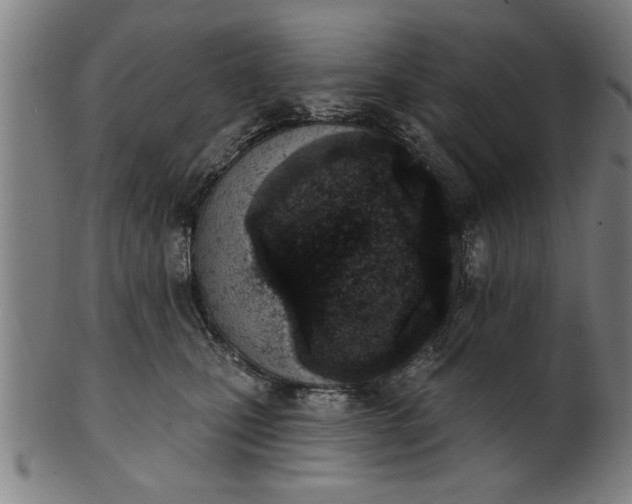 X0000101200471200807111014