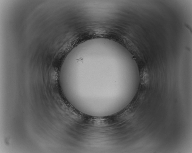 X0000101200472200807111014