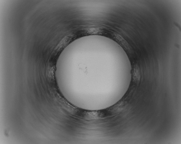 X0000101200473200807111014
