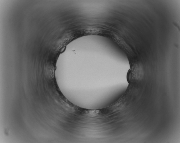 X0000101200474200807111014