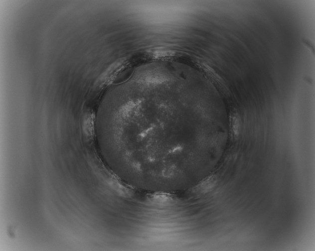 X0000101200475200807111014