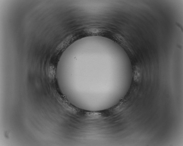 X0000101200476200807111014