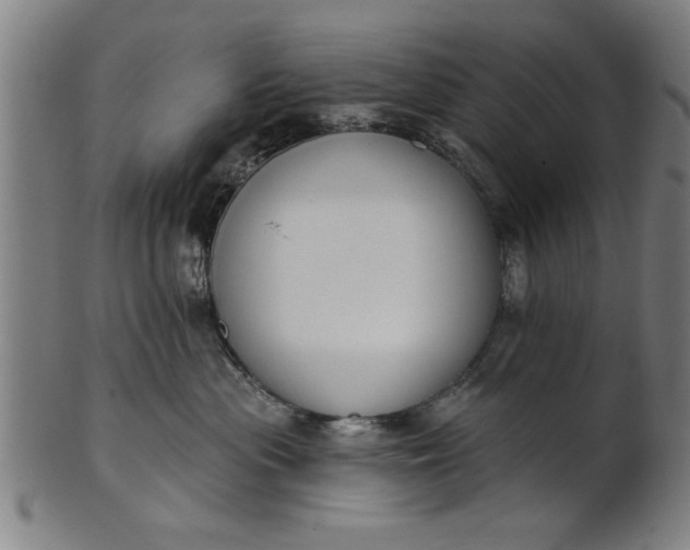 X0000101200477200807111014