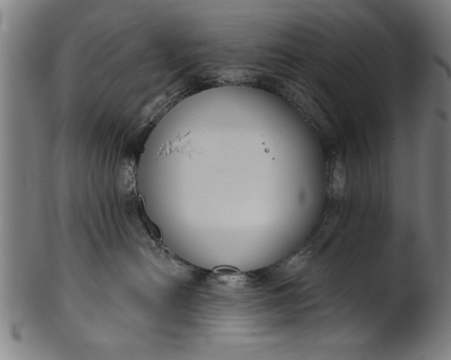 X0000101200478200807111014