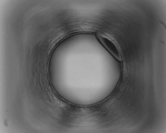 X0000101200481200807111013