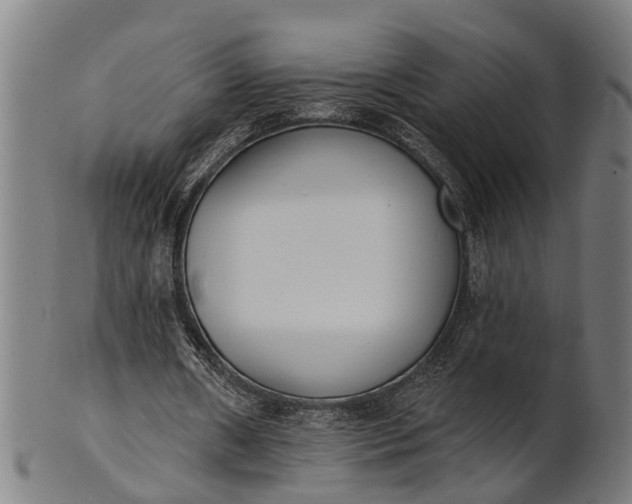 X0000101200482200807111013