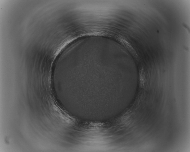 X0000101200484200807111013
