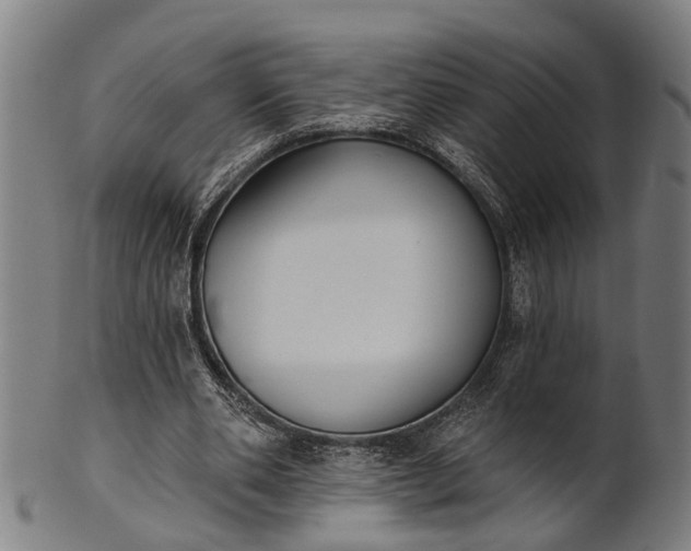 X0000101200486200807111013