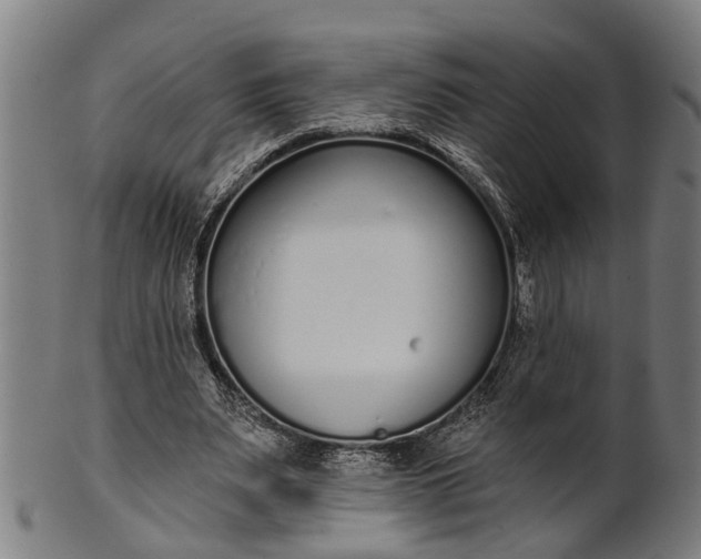 X0000101200487200807111013