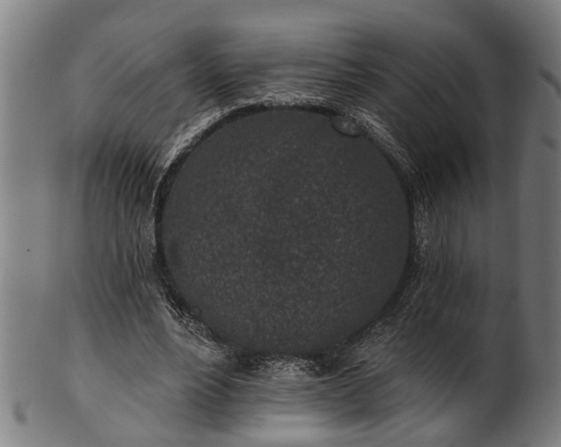 X0000101200488200807111013