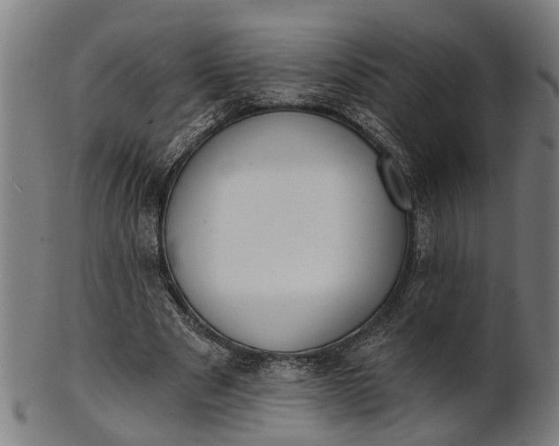 X0000101200489200807111013