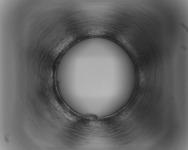 X0000101200490200807111013