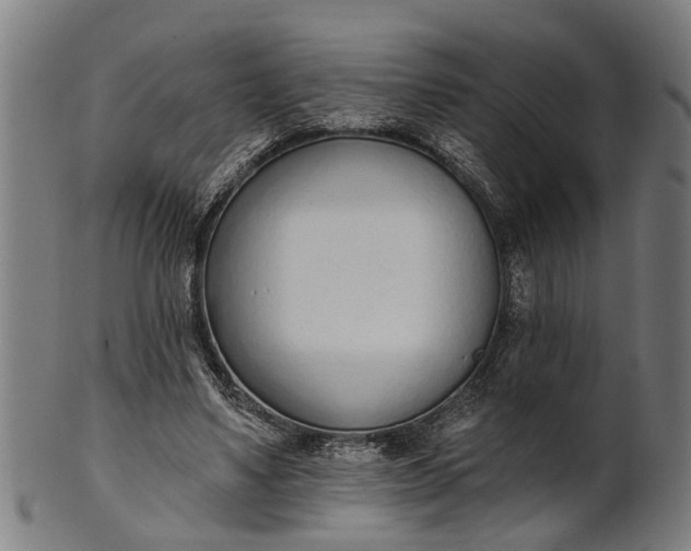 X0000101200491200807111013