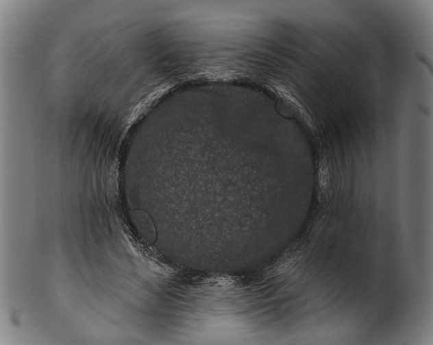 X0000101200492200807111013