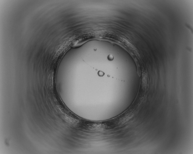 X0000101200493200807111013